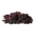 Ekol. raudondumbliai Dulse (RAW), 60 g