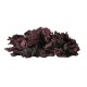 Ekol. raudondumbliai Dulse (RAW), 60 g