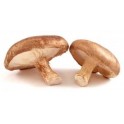 Shiitake grybų milteliai, 60 g