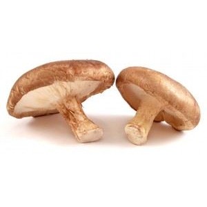 Shiitake grybų milteliai, 60 g