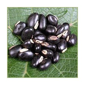 Kapikachu (Mucuna pruriens) milteliais