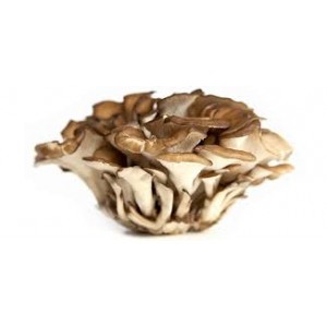 Kuokštiniai sėdžiai - Maitake grybai (60 g)