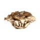 Kuokštiniai sėdžiai - Maitake grybai (60 g)