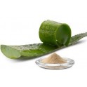 Aloe Vera milteliais (60g)
