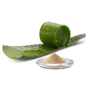 Aloe Vera milteliais (60g)