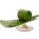 Aloe Vera milteliais (60g)