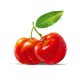 Acerola (malpigija) 60g