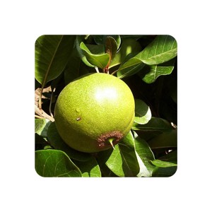  Lucuma vaisiaus milteliai, 60 g